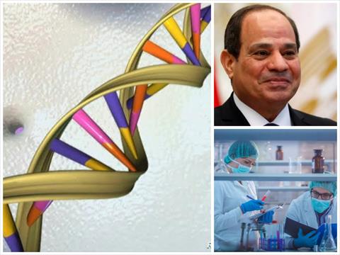 مشروع الجينوم المرجعي للمصريين