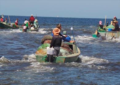 بحيرة البردويل