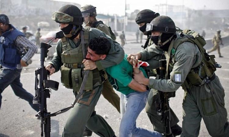 القوات الإسرائيلية تعتقل 12 فلسطينيا من الضفة الغربية