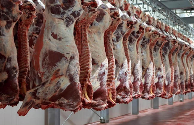 طرح اللحوم والدواجن بتخفيضات 40% خلال عيد الأضحي