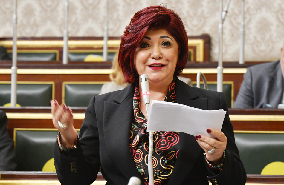 النائبة نورا علي