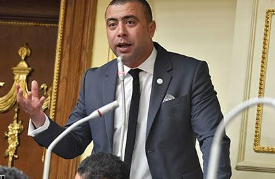النائب أحمد بهاء شلبي
