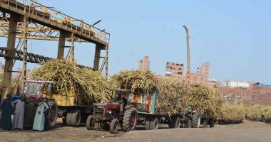 نرصد أزمة مصنع أبو قرصاص بعد قرار وقف إنتاج السكر للمرة الأولى منذ 155 عاما