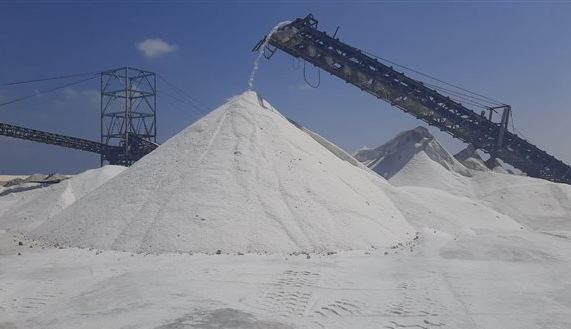 النصر للملاحات تصدر أكبر شحنة ملح في تاريخها من ميناء العريش 