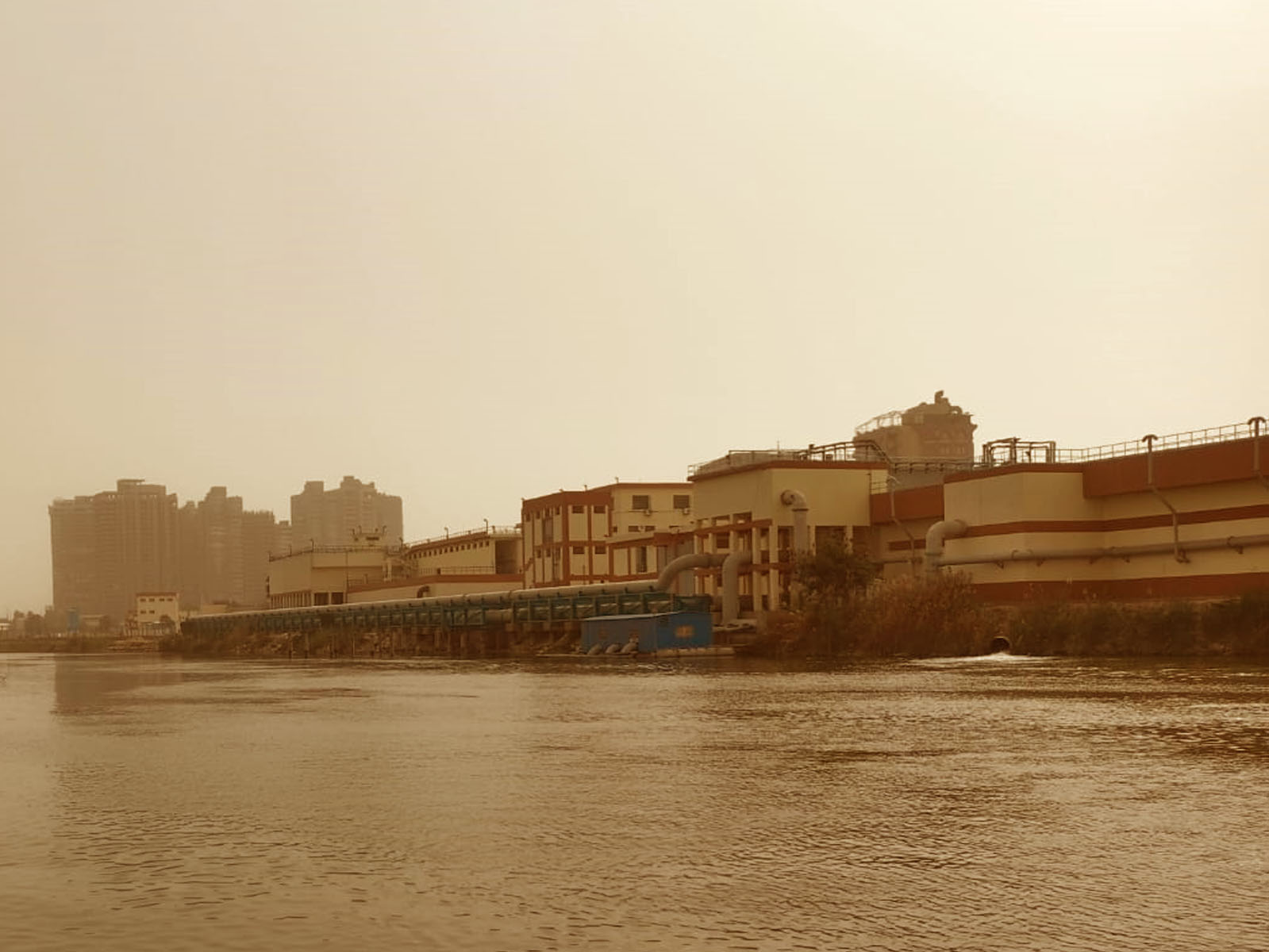 تصوير إسلام صفوت