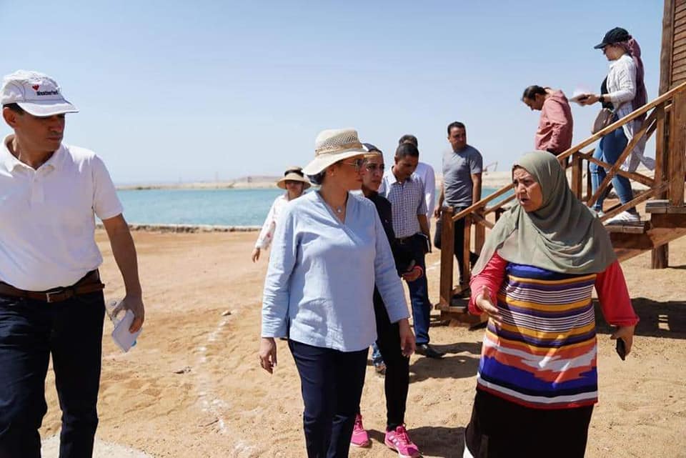 أرشيفية