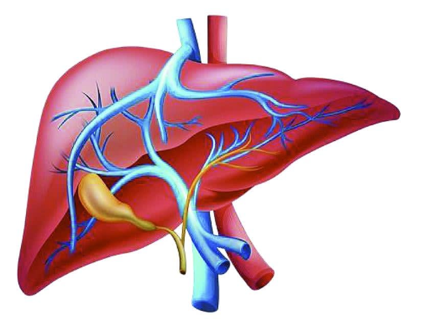 ماذا تفعل الكحوليات بالكبد؟.. 3 مراحل تنتهي بالخطر 