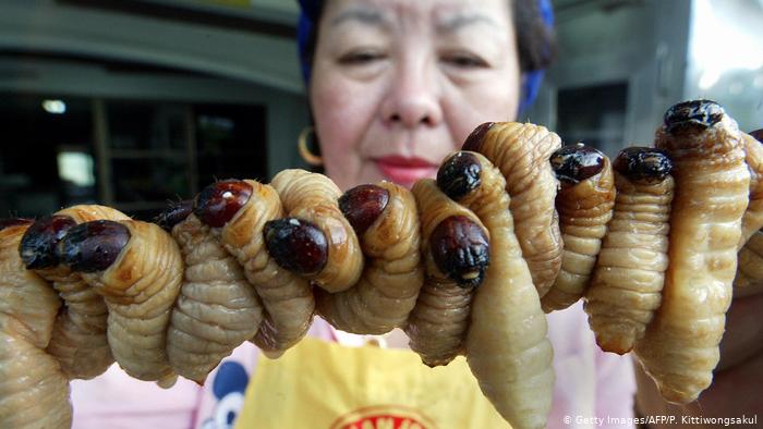 سيدة من تايلاند تعرض وجبة من الحشرات