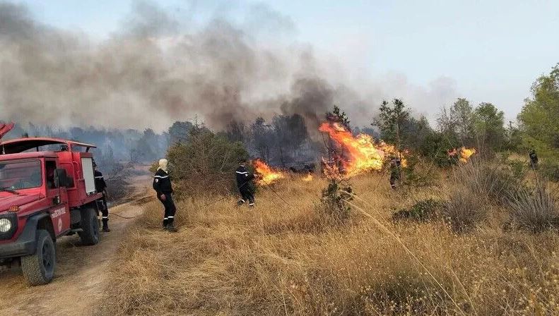 الجزائر تعلن عودة الكهرباء إلى 16 ولاية وتواصل مكافحة 19 حريقا