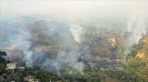 وكالة الأناضول