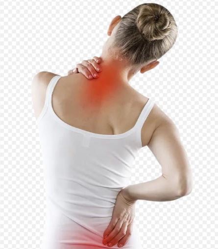 من أوراق مايو كلينك.. حينما تخدعك آلام أسفل الظهر 