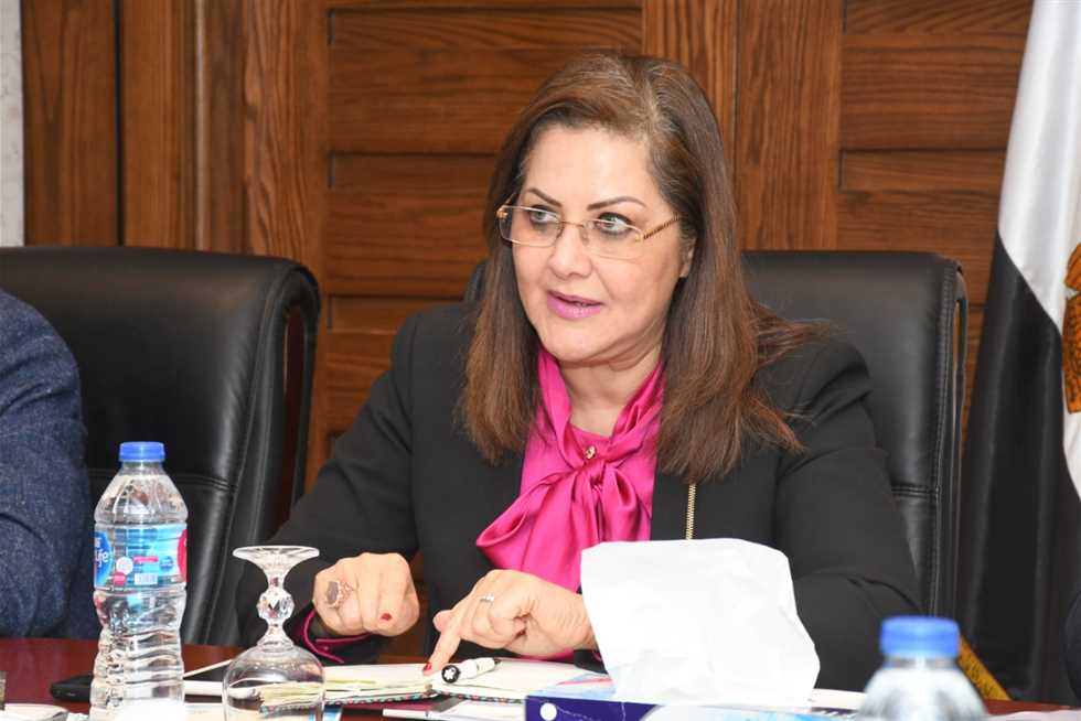 هالة السعيد، وزيرة التخطيط والتنمية الاقتصادية