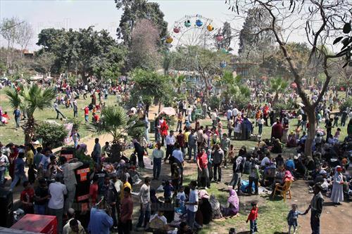 تصوير مجدى ابراهيم