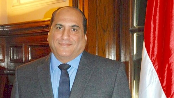 الدكتور حسن الفولى