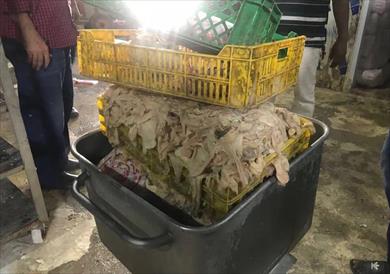 جانب من المضبوطات