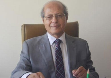 السفير رخا أحمد حسن عضو المجلس المصري للشئون الخارجية