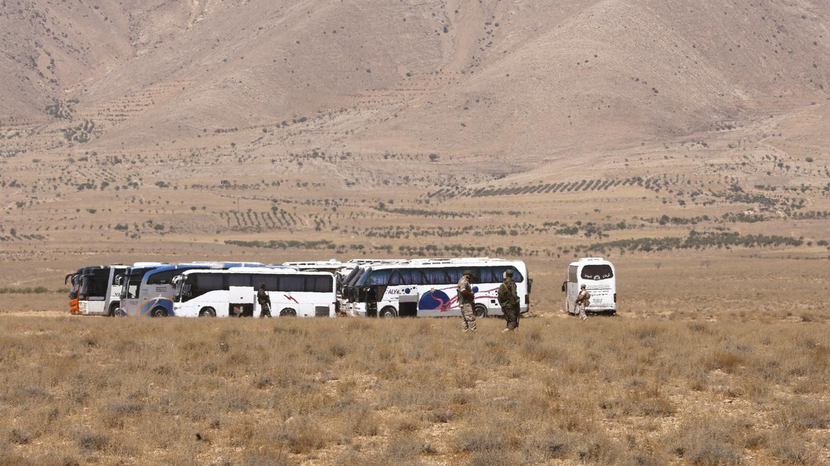 ارشيفية