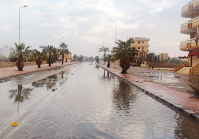 أرشيفية