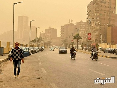 تصوير دنيا يونس