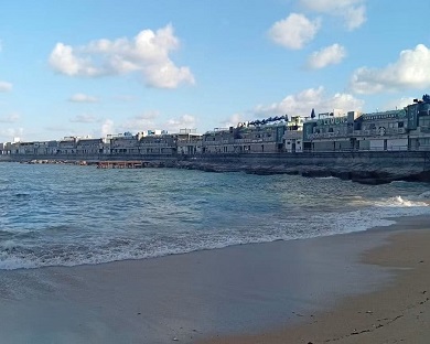 صورة الخبر