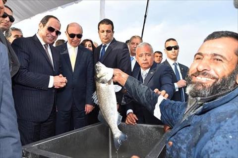 الرئيس السيسي يشهد افتتاح المرحلة الثانية من مشروع الإستزراع السمكى شرق القناة بالإسماعيلية