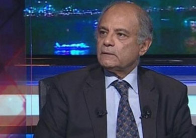 السفير حسين هريدي، مساعد وزير الخارجية الأسبق