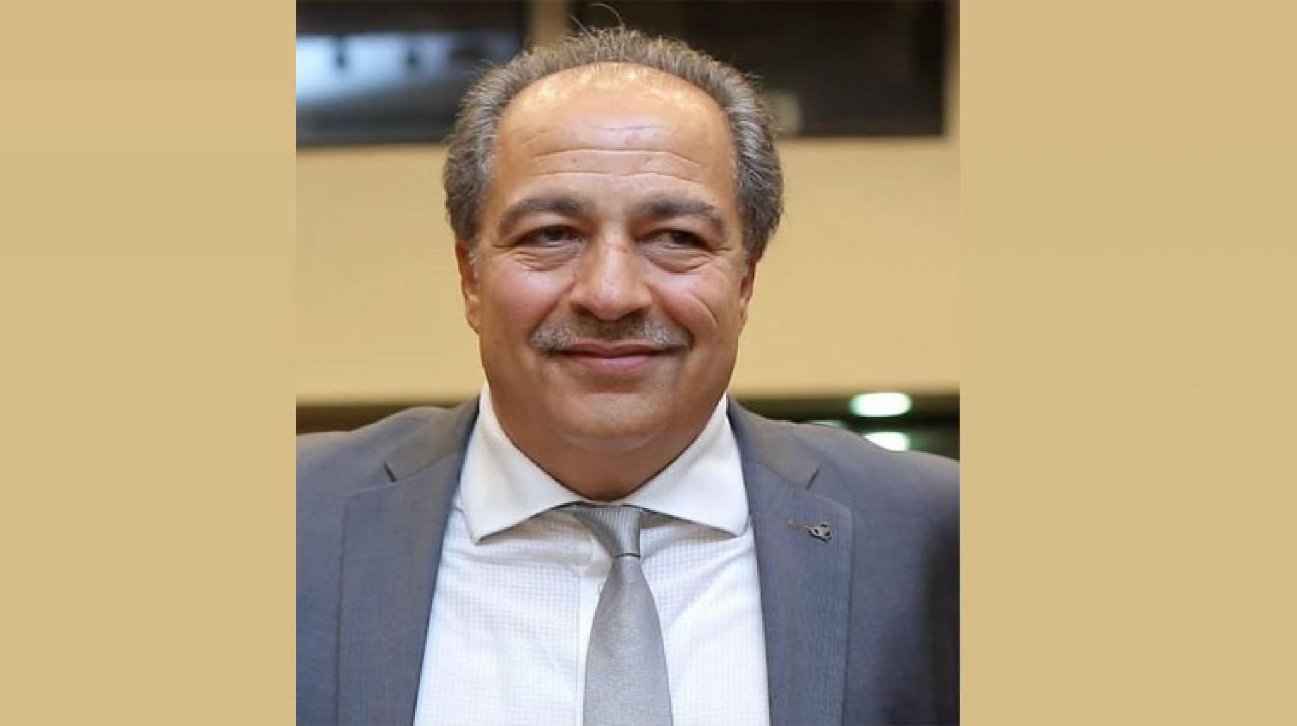 حمدي النجار رئيس شعبة المستوردين