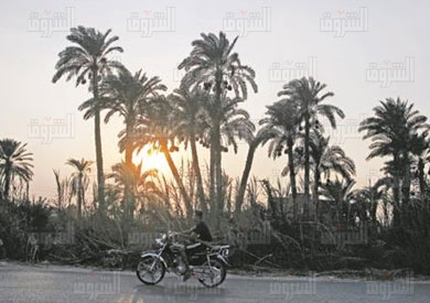 تصوير احمد عبد الفتاح