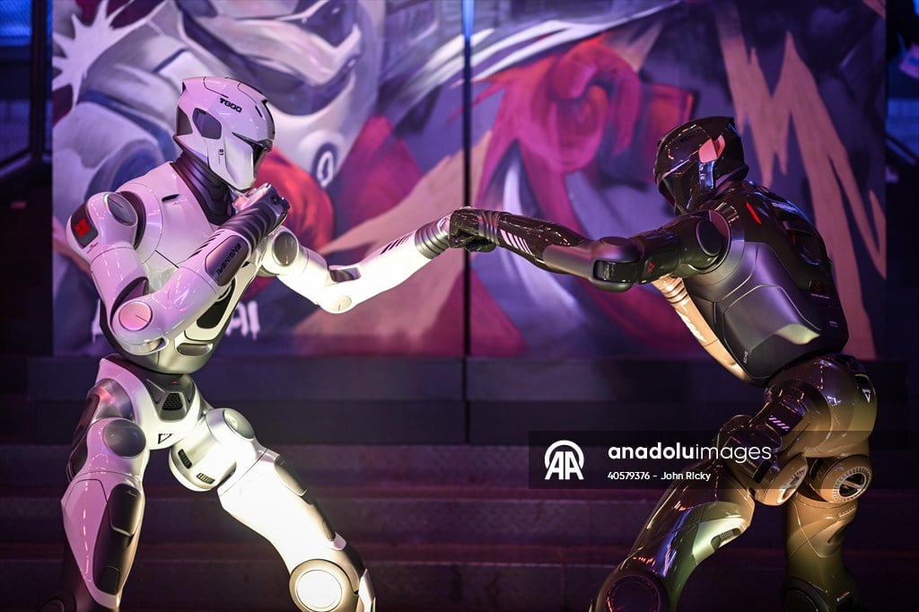 وكالة الأناضول للأنباء