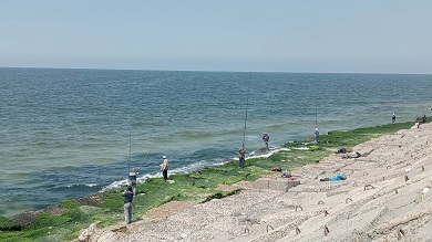 تصوير: رافي شاكر