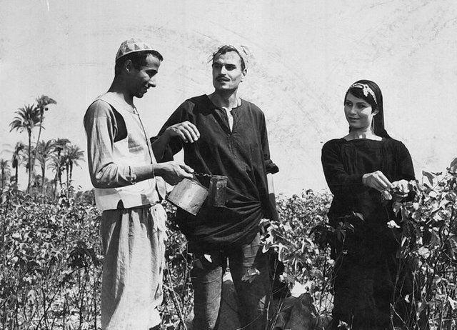 فيلم الأرض