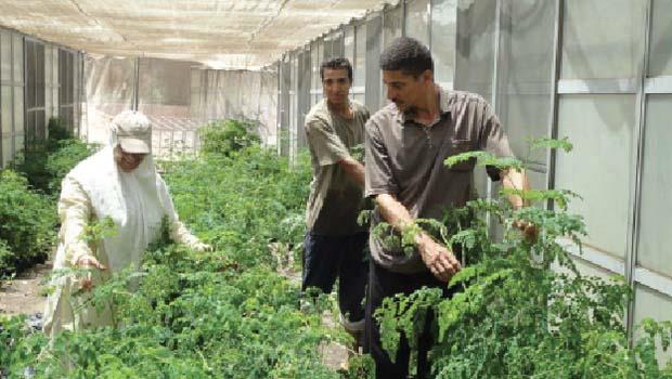 صورة ارشيفية