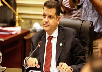 رئيس لجنة الشئون الإفريقية بمجلس النواب طارق رضوان