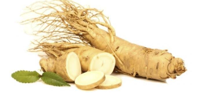 جذور الجينسينج.. الأساطير والحقيقة في تاريخ الطب الصيني 