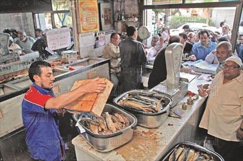 تصوير مجدى ابراهيم