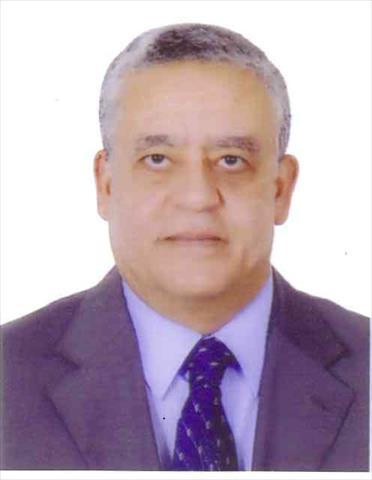 المستشار حنفي جبالي
