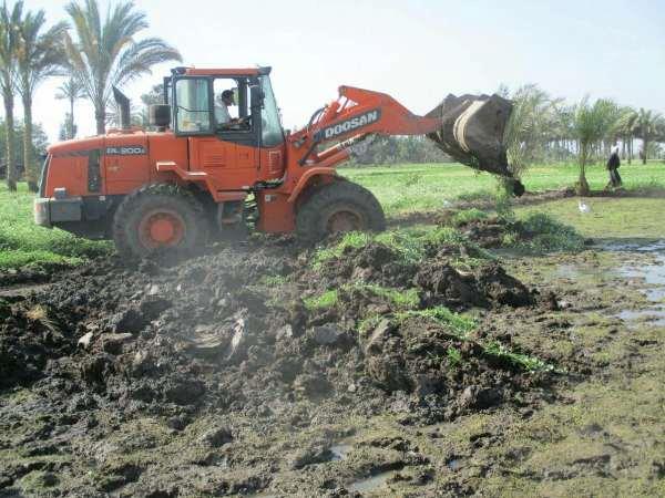 حملات إزالة المزروعات - خاص الشروق