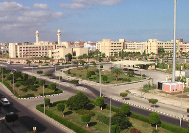 جامعة دمياط