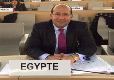 السفير هشام بدر