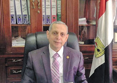 الدكتور مجدي عبدالعزيز رئيس مصلحة الجمارك