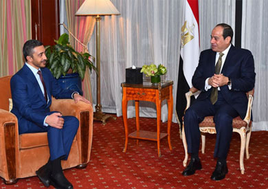 السيسي خلال استقباله وزير خارجية الإمارات