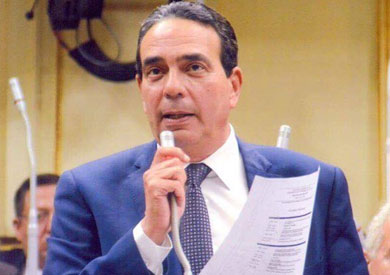 النائب أيمن أبو العلا