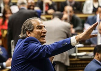 النائب محمد بدوي