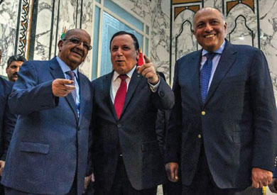 شكري مع نظيريه التونسي والجزائري - أرشيفية