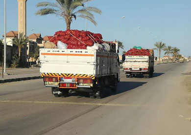 أرشيفية