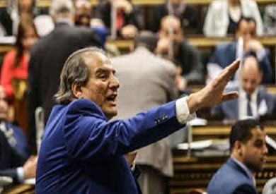 النائب محمد بدوي دسوقي