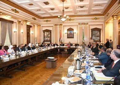 مجلس جامعة القاهرة