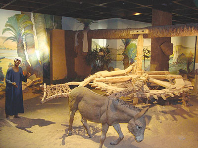 متحف النوبة