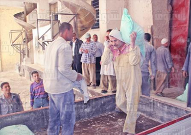 تصوير تامر القمحاوي