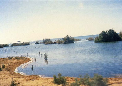أسوان: غلق بحيرة ناصر أمام كافة أنشطة الصيد اعتبارا من 15 مارس المقبل ولمدة  شهرين - بوابة الشروق - نسخة الموبايل